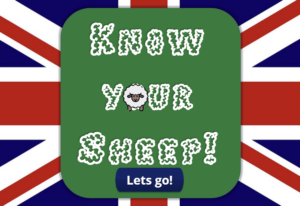 Screenshot 2023-04-26 125348